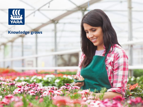 YaraTera - 100% hidrosolubile