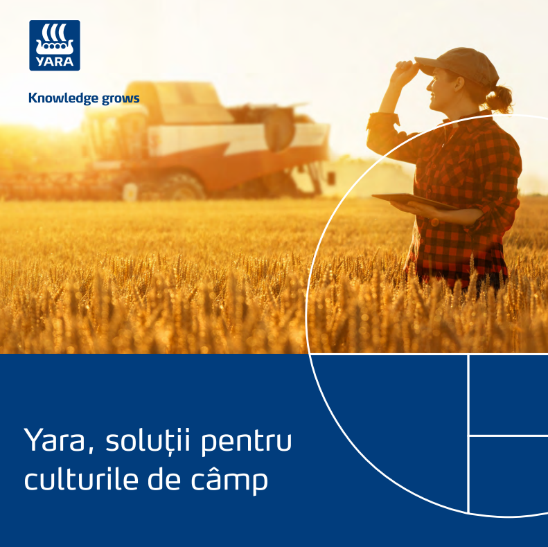 catalog yara 2023