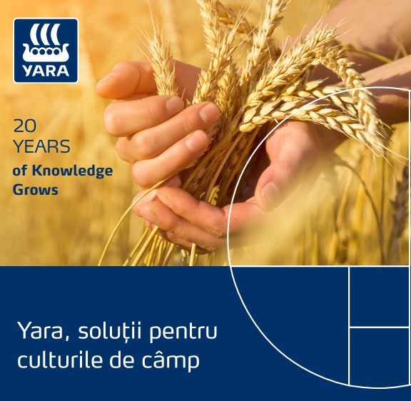 catalog yara 2024